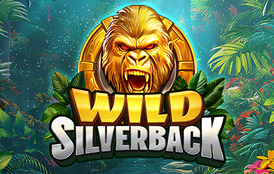 Wild Silverback